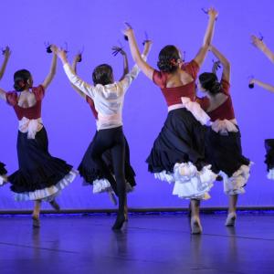 Fotografía de Talleres Danza Española (galería 2) - Conservatorio de Danza